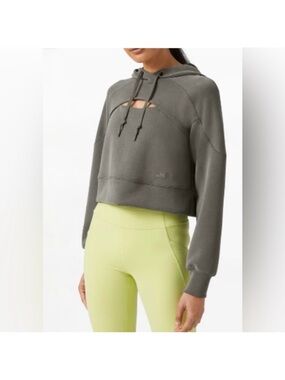 lululemon athletica Grey Sage Get Centered Cropped Hoodie sz 12